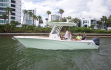 Sea Fox 248